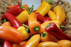 Yellow-Red-Orange-Chilli